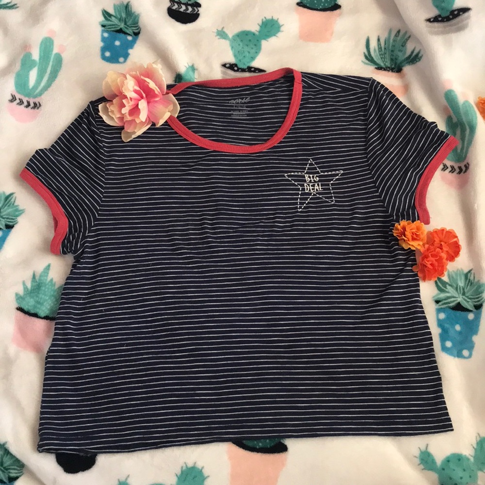 American Eagle/Aerie Striped Crop Top